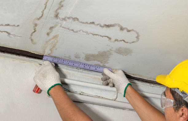 Reliable Burst Pipe Cleanup contractor in Mount Blanchard, OH by Water Damage Irwin